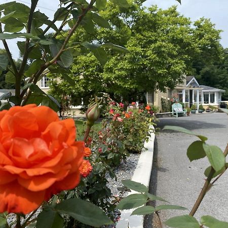 Bed and Breakfast Copperfield House Cashel  Exterior foto